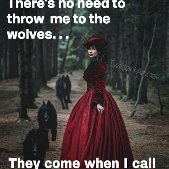 ISO-In Search Of - Picture 1 of 1